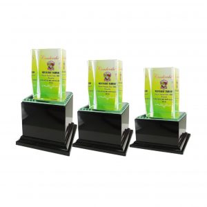 Crystal Plaques CR8043 – Exclusive Cuboid Crystal Glass Awards