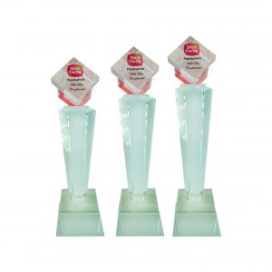 Crystal Trophy CR8188 – Exclusive Crystal Glass Awards
