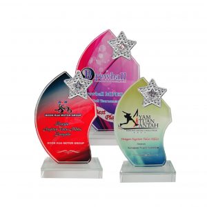 Crystal Plaques CR8202 – Exclusive Crystal Glass Star Awards Crystal Plaques CR8202 – Exclusive Crystal Glass Star Awards