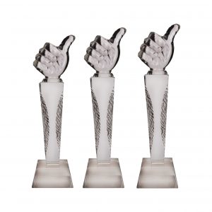 Crystal Trophy CR8231 – Exclusive Crystal Glass Awards (Thumb)