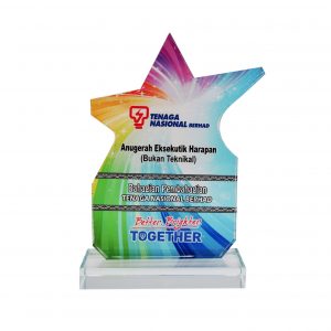 Crystal Plaques CR8287 – Exclusive Crystal Glass Star Awards