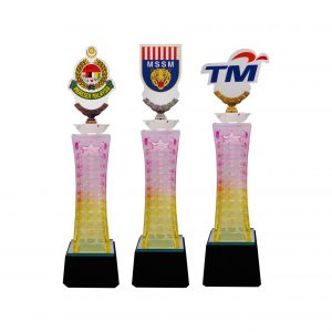 Crystal Trophy CR8294 – Exclusive Crystal Glass Awards With Acrylic