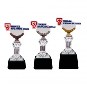 Crystal Trophy CR8296 – Exclusive Crystal Glass Awards With Acrylic Logo