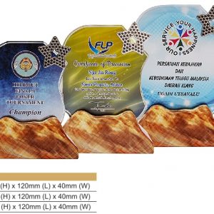 Crystal Plaques CR8315 – Color Crystal Award Crystal Plaques CR8315 – Color Crystal Award