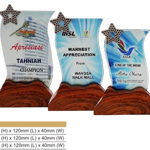 Crystal Plaques CR8316 – Color Crystal Award Crystal Plaques CR8316 – Color Crystal Award