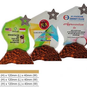 Crystal Plaques CR8317 – Color Crystal Award Crystal Plaques CR8317 – Color Crystal Award
