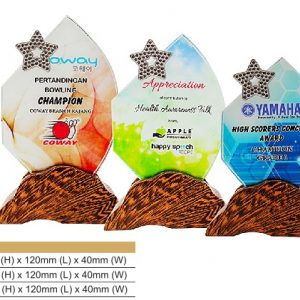 Crystal Plaques CR8324 – Star Color Crystal Award Crystal Plaques CR8324 – Star Color Crystal Award