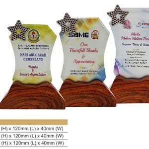 Crystal Plaques CR8329 – Star Color Crystal Award Crystal Plaques CR8329 – Star Color Crystal Award