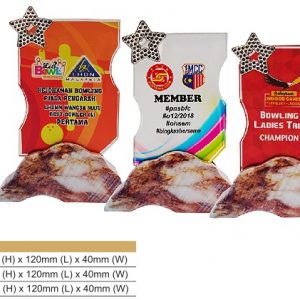 Crystal Plaques CR8330 – Star Color Crystal Award Crystal Plaques CR8330 – Star Color Crystal Award