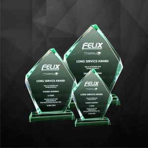 Crystal Plaques CR9020 – Exclusive Iceberg Crystal Plaques Crystal Plaques CR9020 – Exclusive Iceberg Crystal Plaques