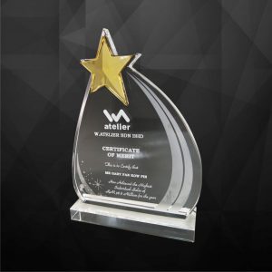Crystal Plaques CR9124 – Exclusive Crystal Star Award Crystal Plaques CR9124 – Exclusive Crystal Star Award