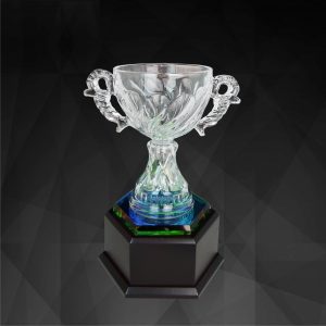 Crystal Trophy CR9133 – Exclusive Crystal Bowl Trophy