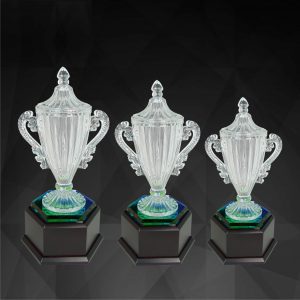 Crystal Trophy CR9135 – Exclusive Crystal Trophy