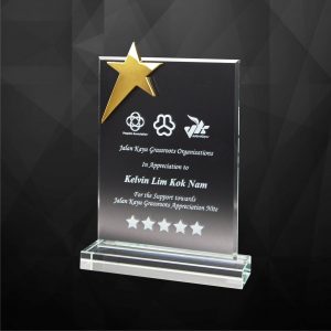 Crystal Plaques CR9253 – Exclusive Crystal Star Plaques Crystal Plaques CR9253 – Exclusive Crystal Star Plaques
