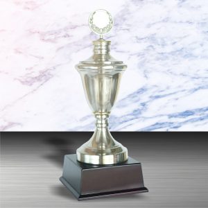 Silver Trophy EXWS6001 – Exclusive White Silver Trophy