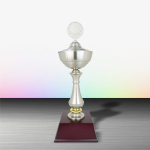 Silver Trophy EXWS6005 – Exclusive White Silver Trophy