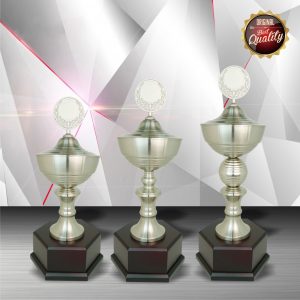 Silver Trophy EXWS6028 – Exclusive White Silver Trophy