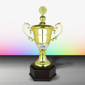 Silver Trophy EXWS6095 – Exclusive White Silver Trophy