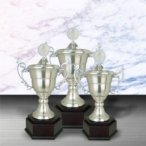 Silver Trophy EXWS6096 – Exclusive White Silver Trophy