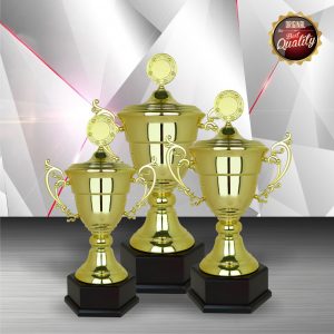 Silver Trophy EXWS6098 – Exclusive White Silver Trophy