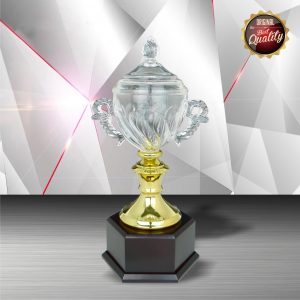 Silver Trophy EXWS6101 – Exclusive White Silver Trophy With Crystal