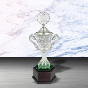Silver Trophy EXWS6102 – Exclusive White Silver Trophy With Crystal