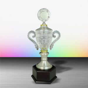 Silver Trophy EXWS6103 – Exclusive White Silver Trophy With Crystal
