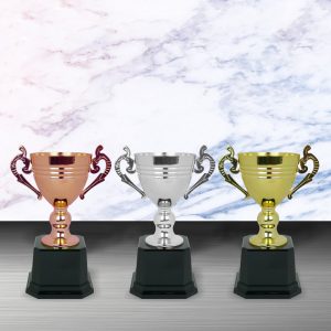 Silver Trophy EXWS6104 – Exclusive White Silver Trophy (Gold, Silver, Bronze)