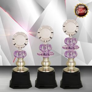 Silver Trophy EXWS6110 – Exclusive White Silver Trophy