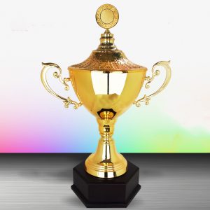 Silver Trophy EXWS6112 – Exclusive White Silver Trophy (Challenge Trophy)