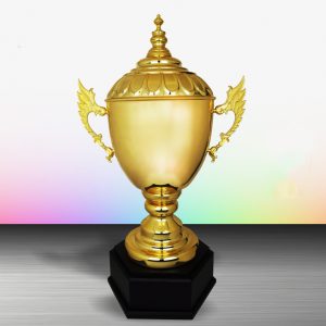 Silver Trophy EXWS6115 – Exclusive White Silver Trophy (Challenge Trophy)
