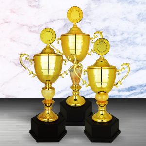 Silver Trophy EXWS6116 – Exclusive White Silver Trophy