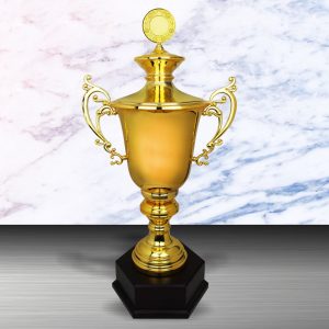 Silver Trophy EXWS6119 – Exclusive White Silver Trophy