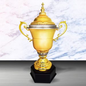 Silver Trophy EXWS6120 – Exclusive White Silver Trophy (Challenge Trophy)