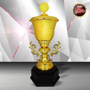 Silver Trophy EXWS6121 – Exclusive White Silver Trophy