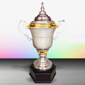 Silver Trophy EXWS6122 – Exclusive White Silver Trophy (Challenge Trophy)