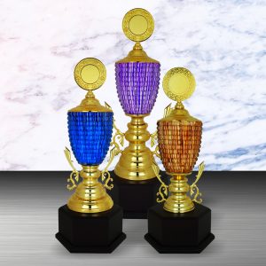Silver Trophy EXWS6124 – Exclusive White Silver Trophy