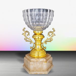 Silver Trophy EXWS6125 – Exclusive White Silver Trophy With Crystal Bowl