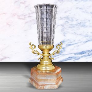 Silver Trophy EXWS6127 – Exclusive White Silver Trophy With Crystal Vase