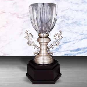 Silver Trophy EXWS6130 – Exclusive White Silver Trophy With Crystal Vase