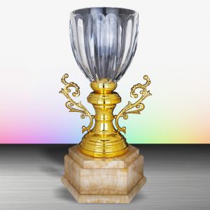 Silver Trophy EXWS6131 – Exclusive White Silver Trophy With Crystal Vase