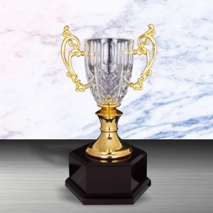 Silver Trophy EXWS6133 – Exclusive White Silver Trophy With Crystal Vase