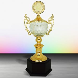 Silver Trophy EXWS6134 – Exclusive White Silver Trophy With Crystal
