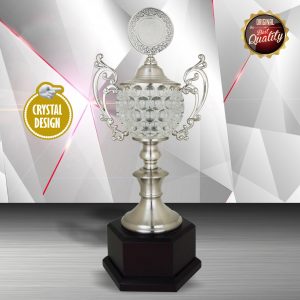 Silver Trophy EXWS6135 – Exclusive White Silver Trophy With Crystal