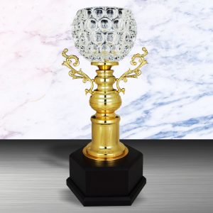 Silver Trophy EXWS6136 – Exclusive White Silver Trophy With Crystal Bowl
