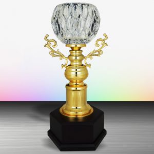 Silver Trophy EXWS6137 – Exclusive White Silver Trophy With Crystal Bowl