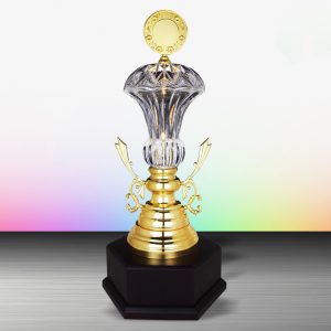 Silver Trophy EXWS6140 – Exclusive White Silver Trophy With Crystal