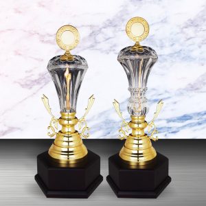 Silver Trophy EXWS6142 – Exclusive White Silver Trophy With Crystal