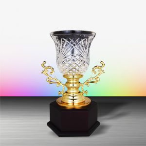 Silver Trophy EXWS6145 – Exclusive White Silver Trophy With Crystal Vase
