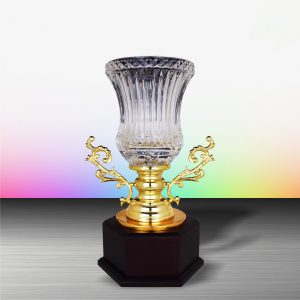 Silver Trophy EXWS6146 – Exclusive White Silver Trophy With Crystal Vase